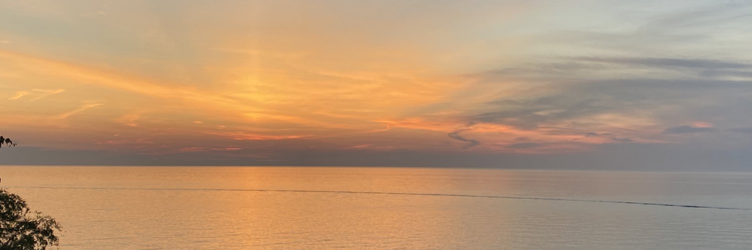 Carolineeweber's profile banner image