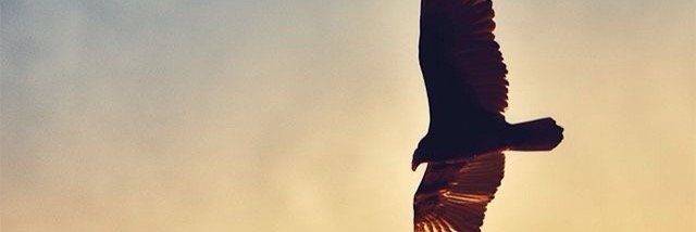 hooWen's profile banner image