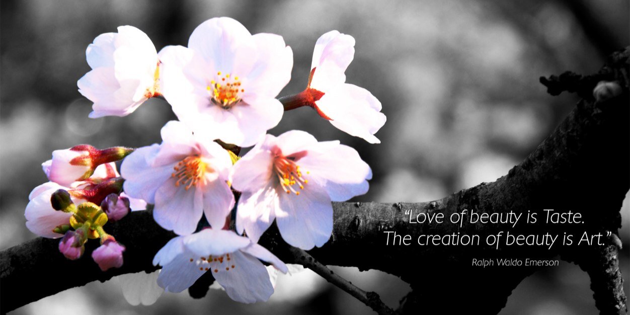 DS_Venus's profile banner image