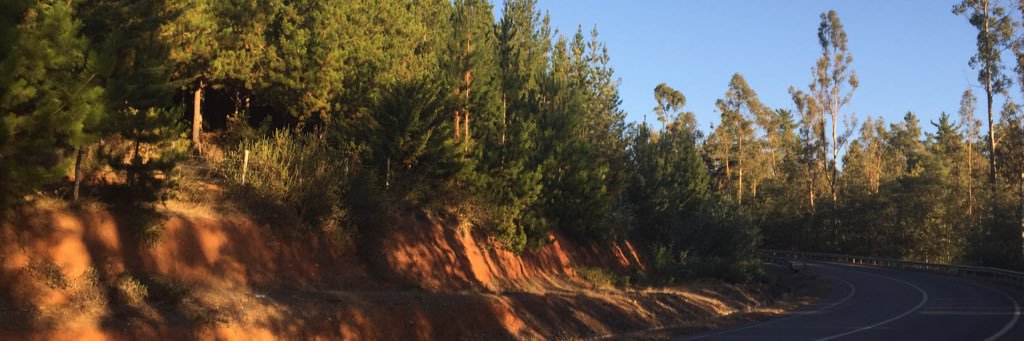 Froddo77's profile banner image