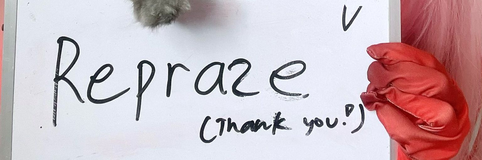 Repraze_'s profile banner image