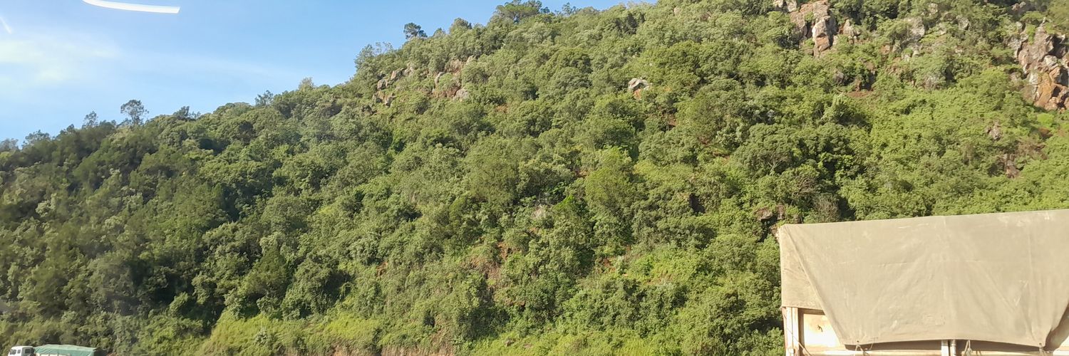 bengambi's profile banner image