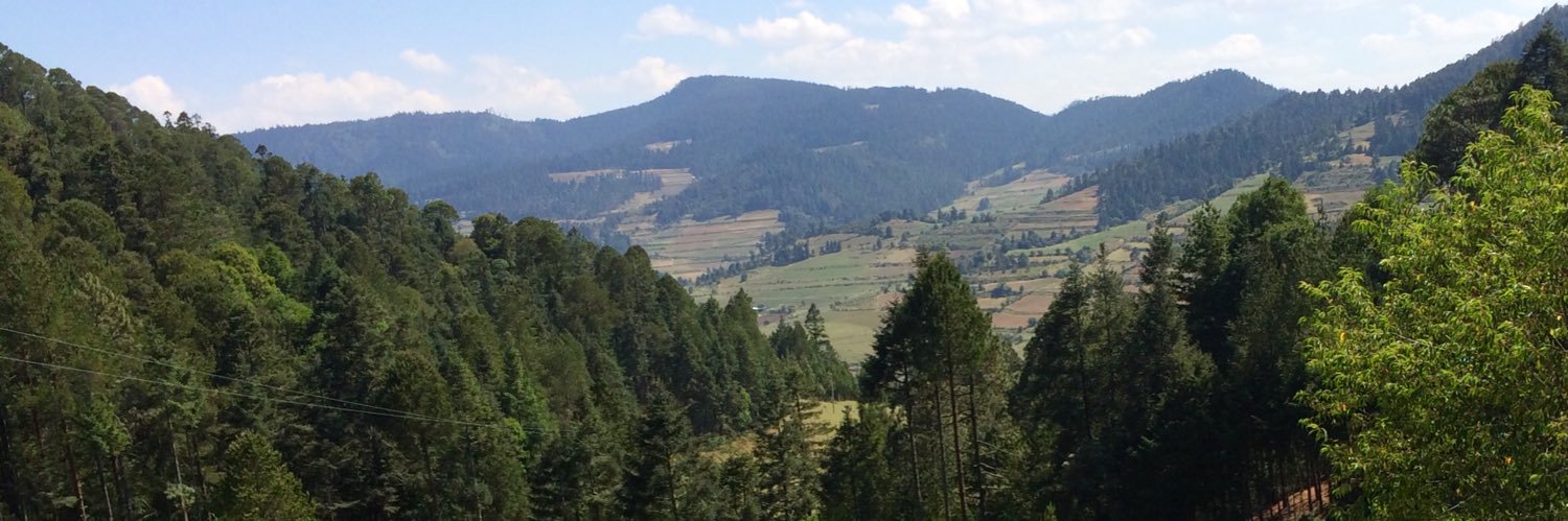 Alhajavis's profile banner image