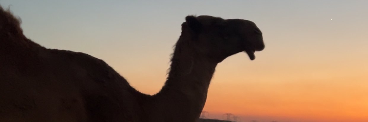 J4Bbv's profile banner image