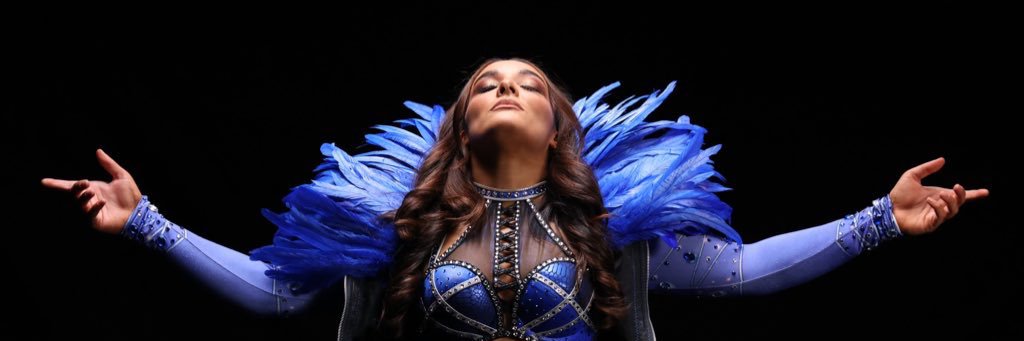 The Virtuosa's banner
