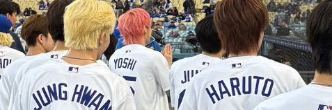 so cool 🐄 banner