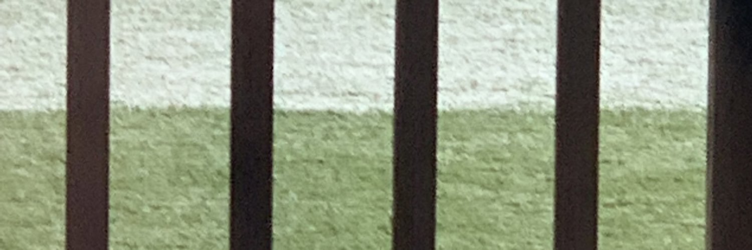 Tommy Wilson banner