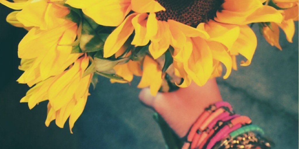 evelillian's profile banner image