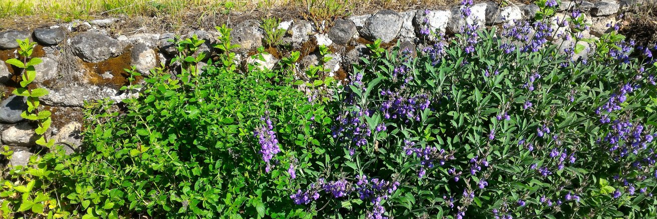 Philippe Aigrain banner