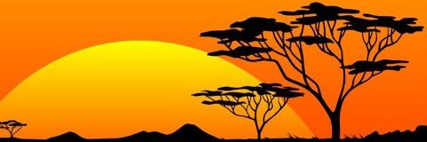 IspusM's profile banner image