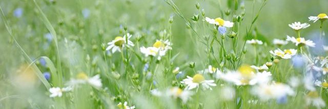 Pierre Guénette banner