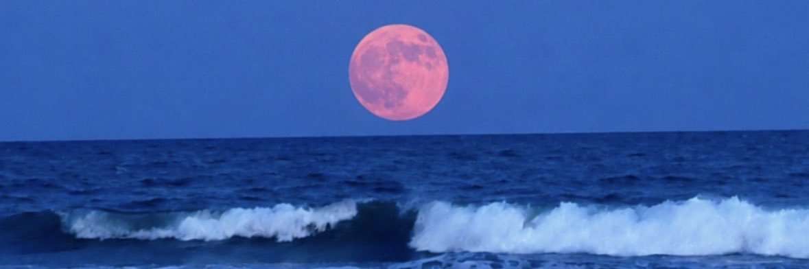 Michael98267459's profile banner image