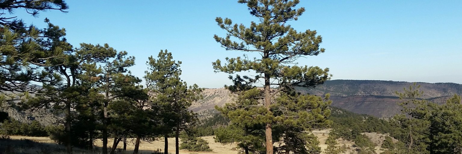 Raymo853's profile banner image