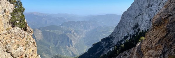 _Kate_Morrison_ Profile Banner