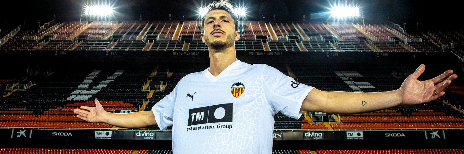 Royzillah🦇 banner