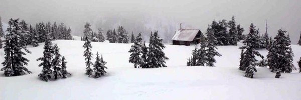 Sugar_Moppy Profile Banner