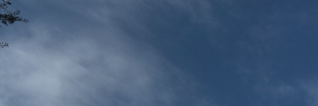 txchino_'s profile banner image