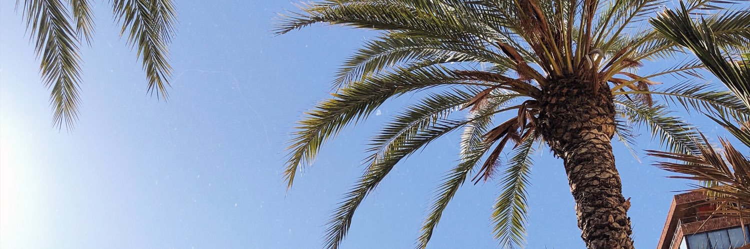 ebbaalouise's profile banner image