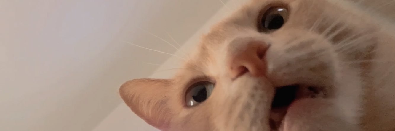 briellecore's profile banner image