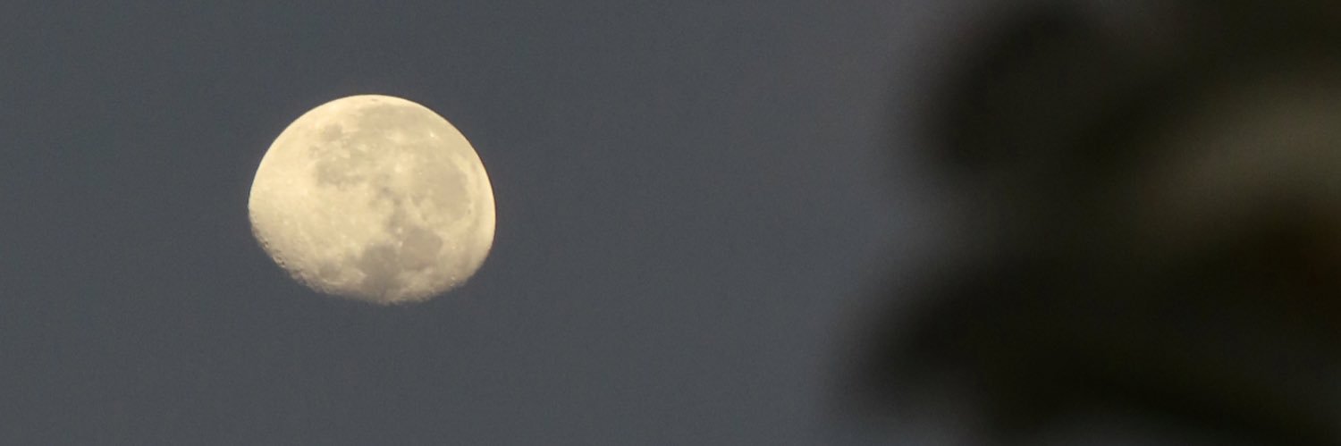 m022v's profile banner image