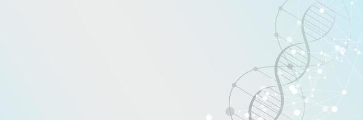 Solveig Løkhammer, MD banner