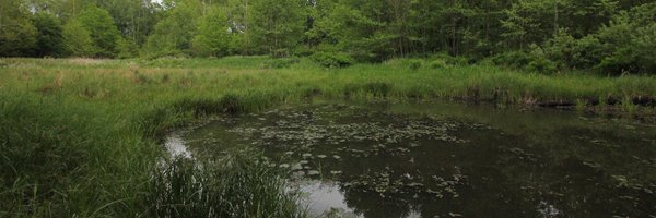 VojtechKolar1 Profile Banner