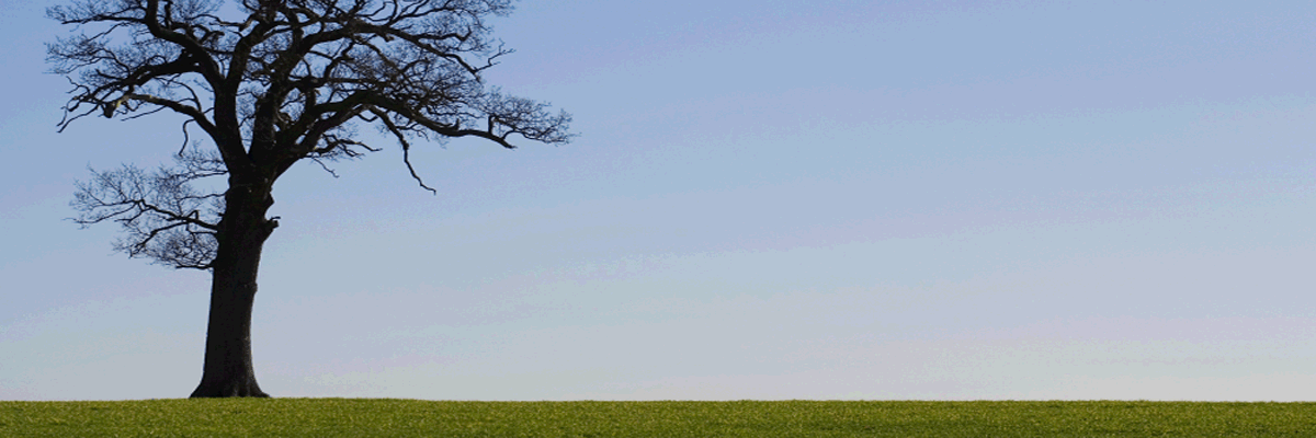 GenealogyCoach's profile banner image