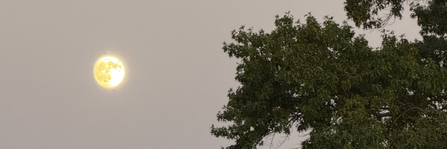 Bren banner
