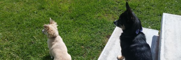 k_fulton Profile Banner