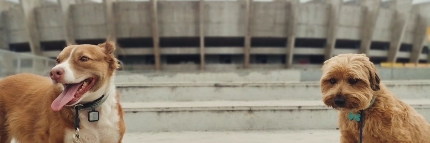 Raphael Brettas banner