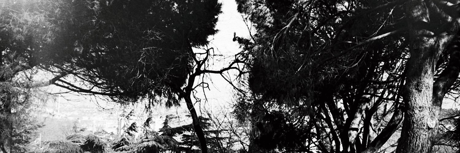 gurdenizb's profile banner image