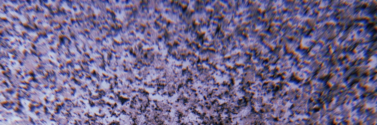 pandaKreg's profile banner image