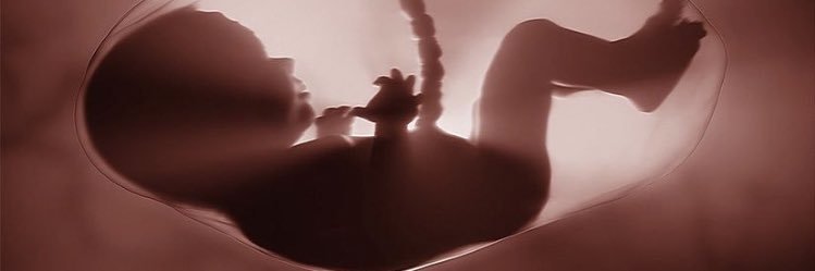 FZoltowski's profile banner image