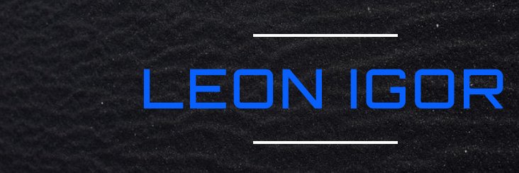 leonigorr's profile banner image