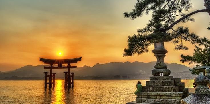 karate895's profile banner image