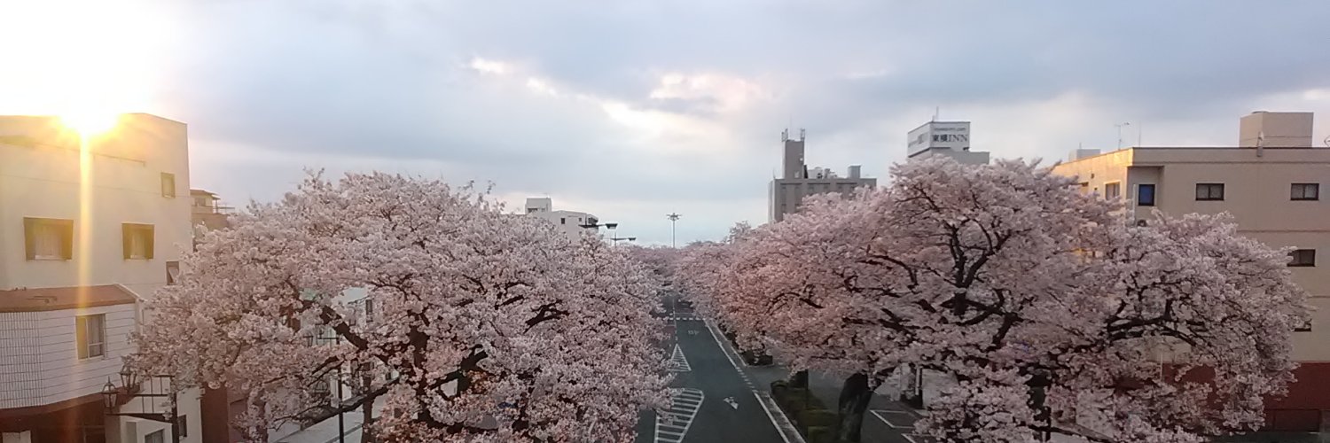 SakazTomone's profile banner image