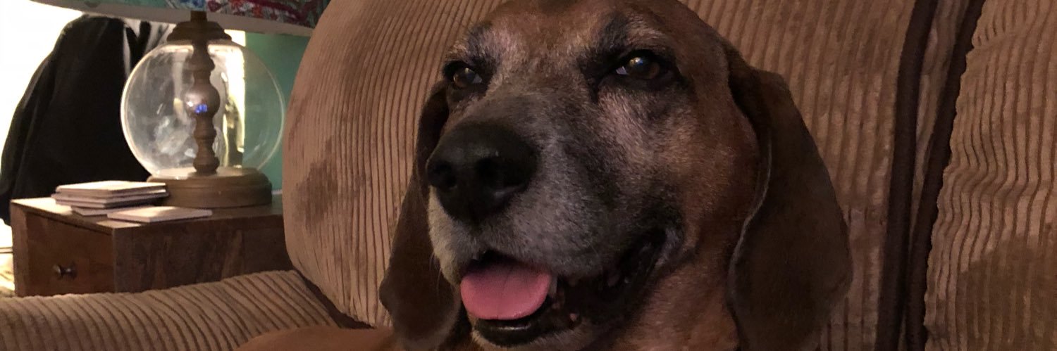 RCFrank3's profile banner image