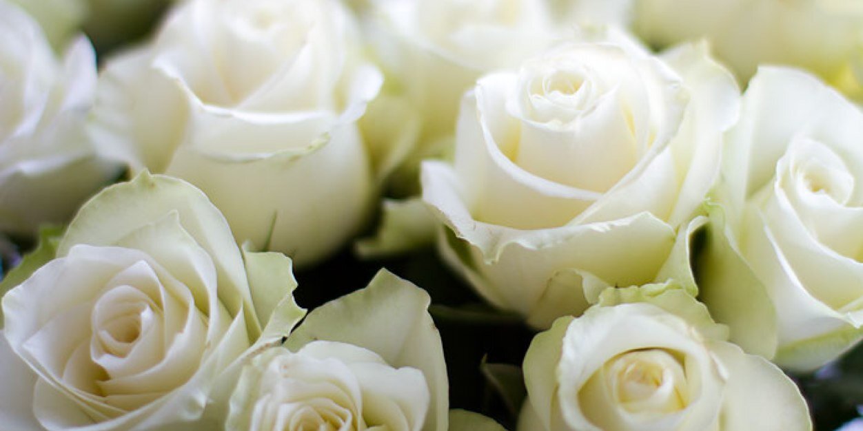 aaalexandraee's profile banner image