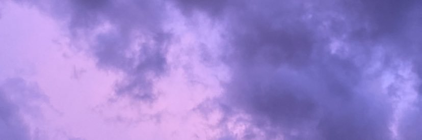 Rosa Truzzina banner