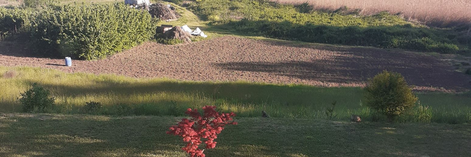 Avni TaLaÇ banner