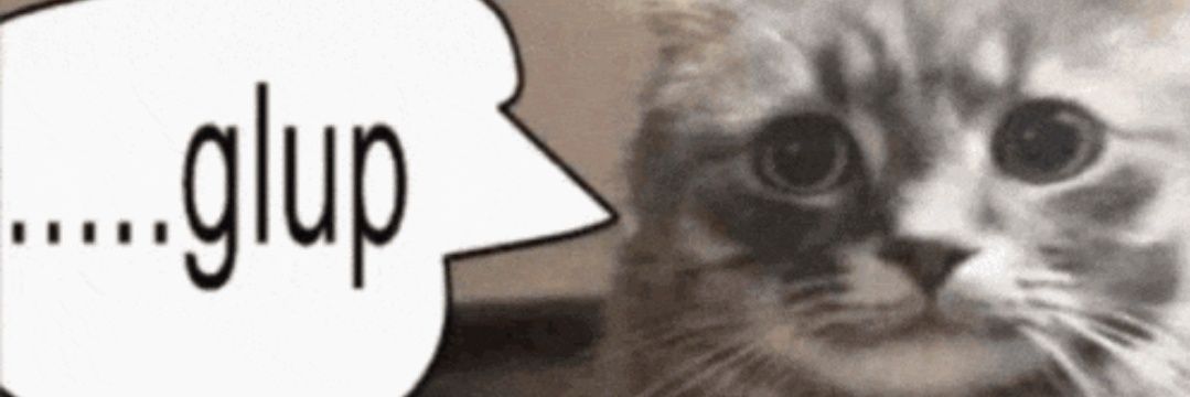🇮🇪DumbpupFeli🏳️‍⚧️🍞 banner