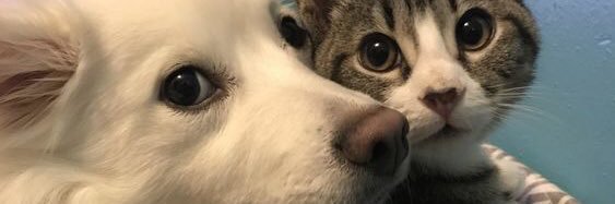 จะมาขิงไอ่พี่แมว🐱❤️✨ ft. ปิดแอค banner