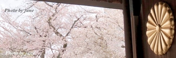 june🌸's banner
