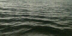 abu_hammah's profile banner image