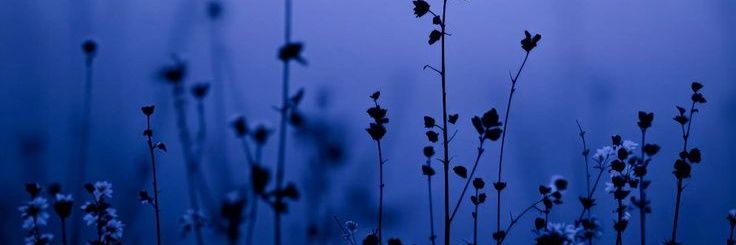 san8_ta's profile banner image