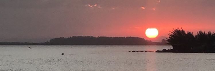 manualdelastimas banner