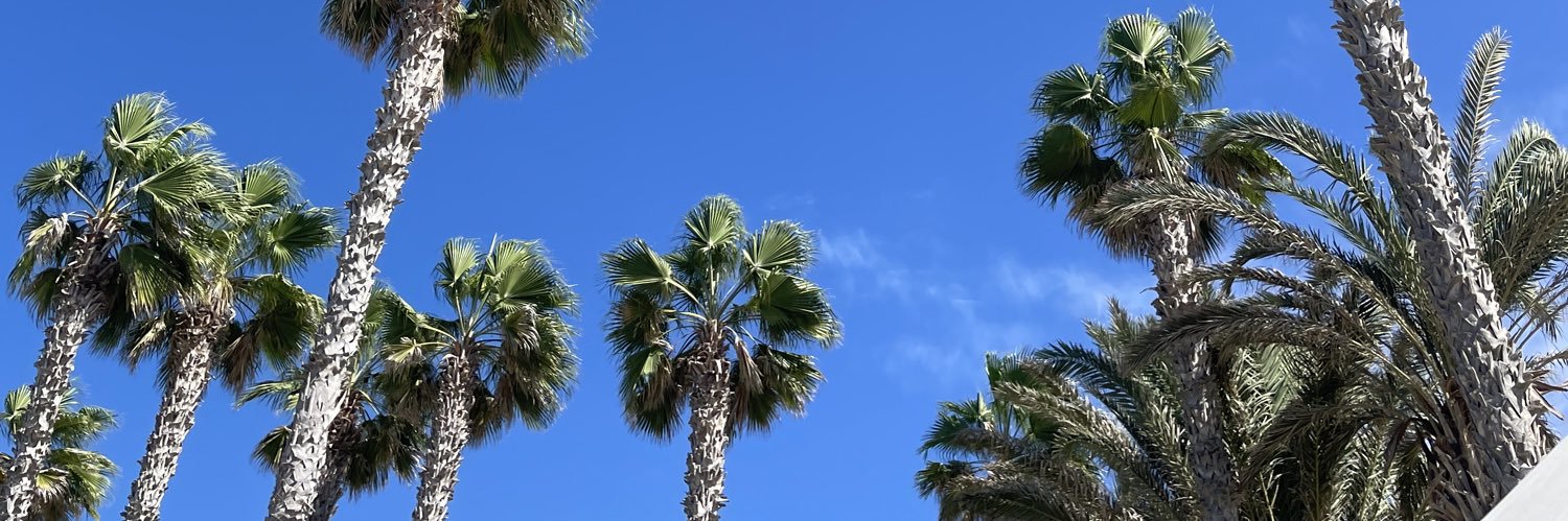 Emilie Warner banner