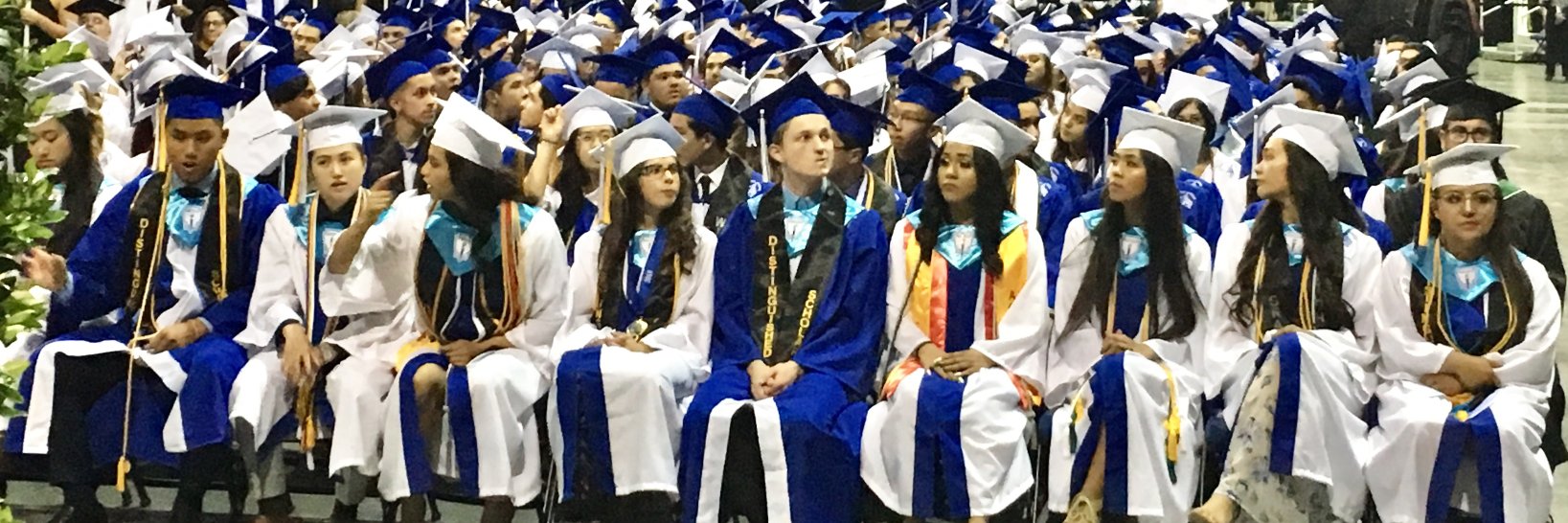 ChinoValleyUSD's profile banner image