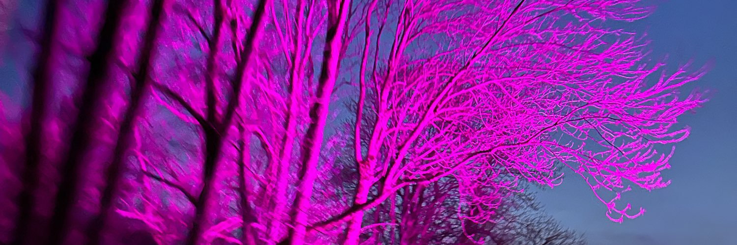 emmy_be's profile banner image