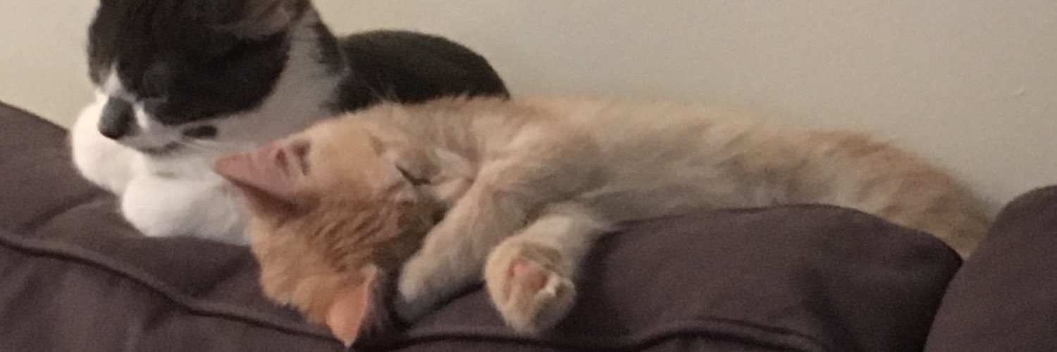 WillWatkins8's profile banner image